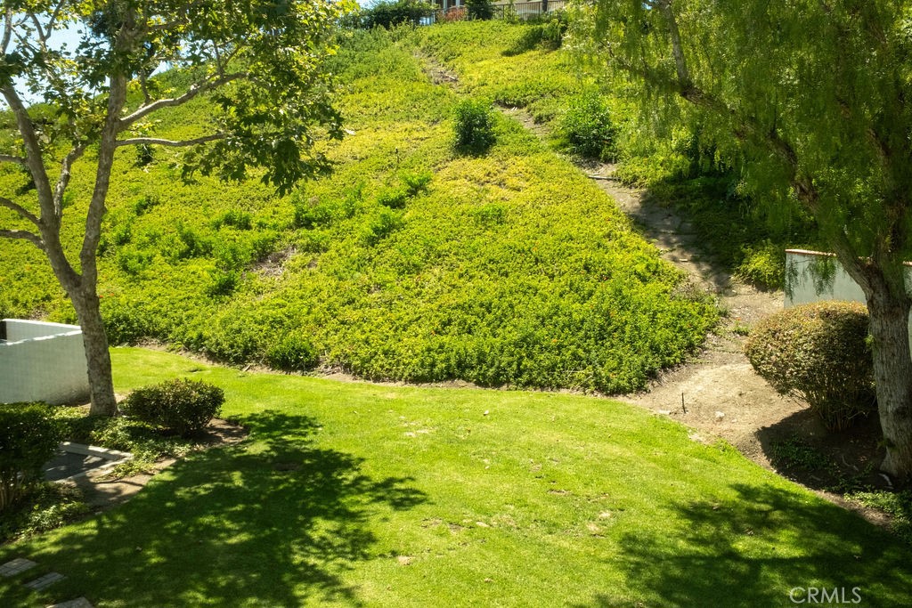 Greenbelt immediately off of patio. - 25655 Paseo La Cresta 47, Laguna Niguel CA 92677 - photo 24