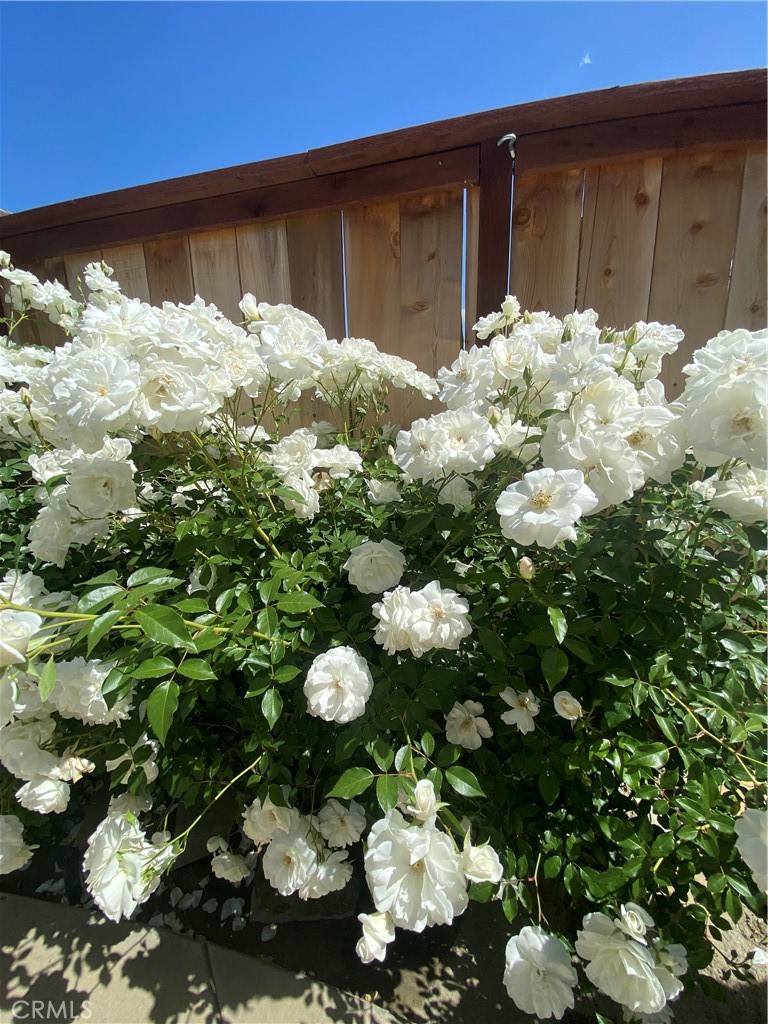 Beautiful Gardens - 25662 Cresta Loma, Laguna Niguel CA 92677 - photo 8