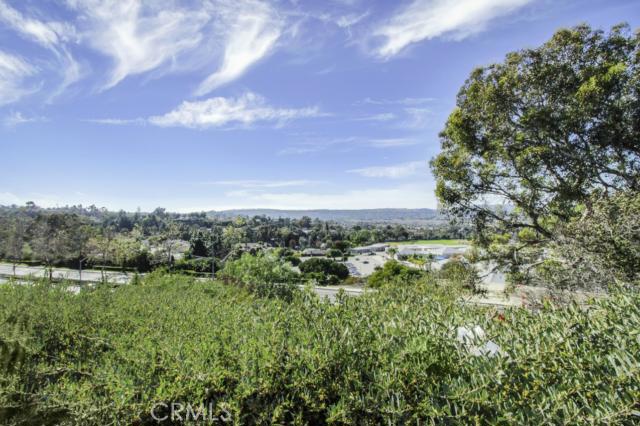 Stunning Backyard View of Laguna Niguel - 25962 Arriba Linda, Laguna Niguel CA 92677 - photo 1