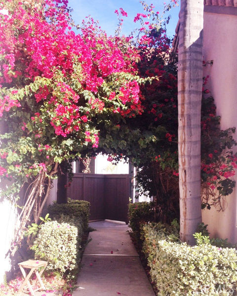 28116 Caldaro, Laguna Niguel CA 92677 - photo 1