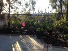 Private view yard and patio - 28191 Via Luis, Laguna Niguel CA 92677 - photo 1
