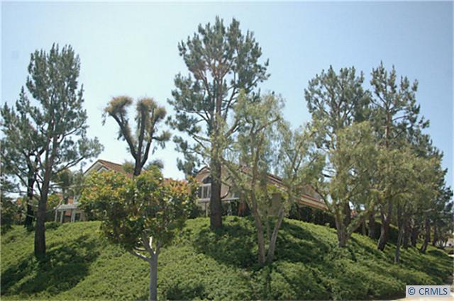 ON TOP OF THE WORLD - 28242 RANCHO PAMELITA, Laguna Niguel CA 92677 - photo 1