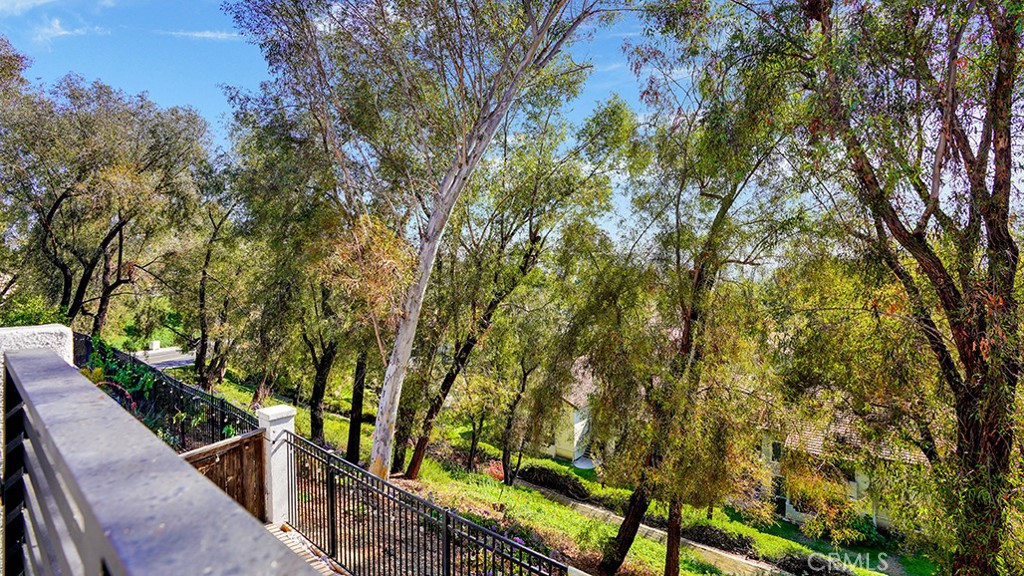 28305 Via Luis, Laguna Niguel CA 92677 - photo 18