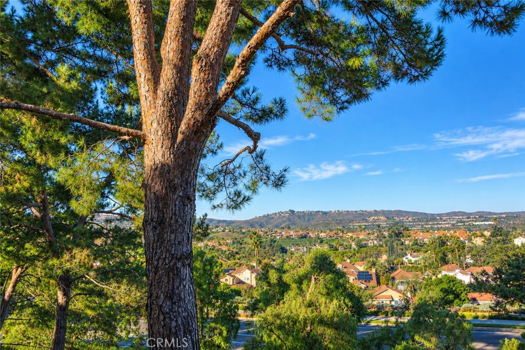 AI Enhanced - 28461 Del Mar, Laguna Niguel CA 92677 - photo 3