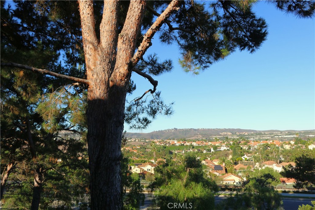 28461 Del Mar, Laguna Niguel CA 92677 - photo 4