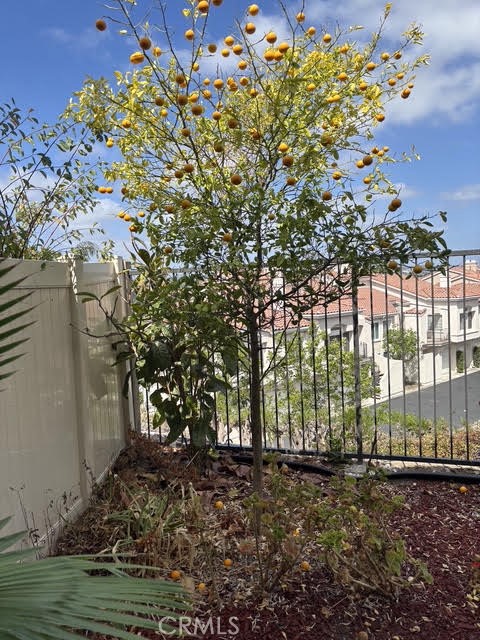 28803 El Adolfo, Laguna Niguel CA 92677 - photo 15