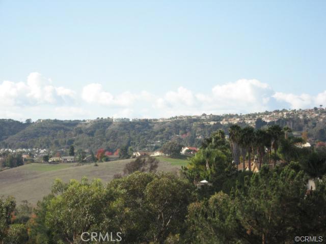 28921 Niguel Vista, Laguna Niguel CA 92677 - photo 1