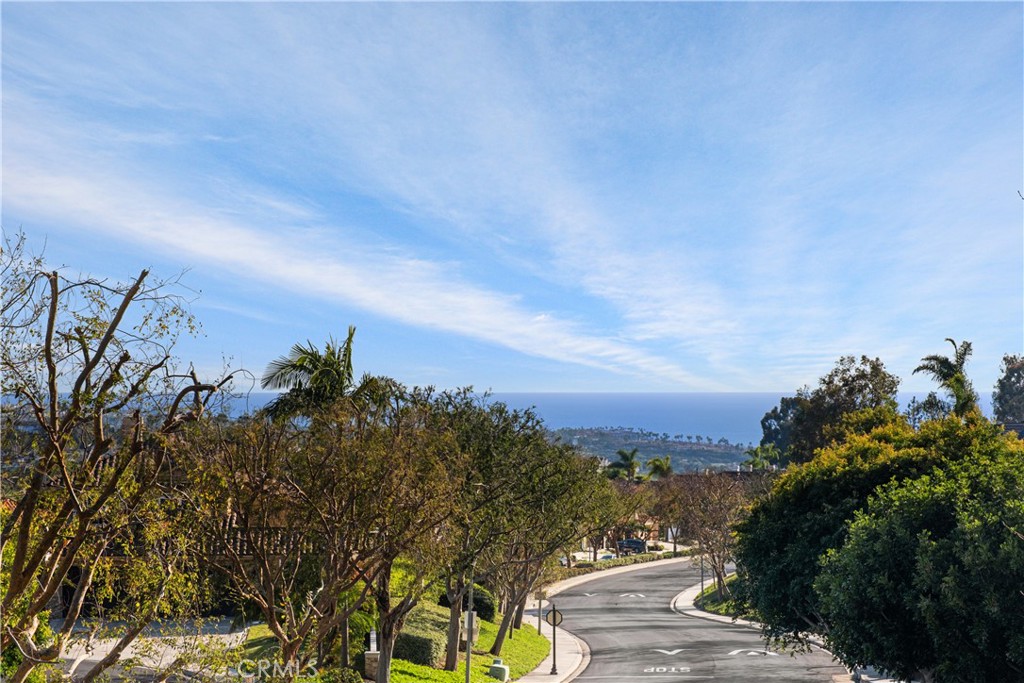 29 Bridington, Laguna Niguel CA 92677 - photo 43