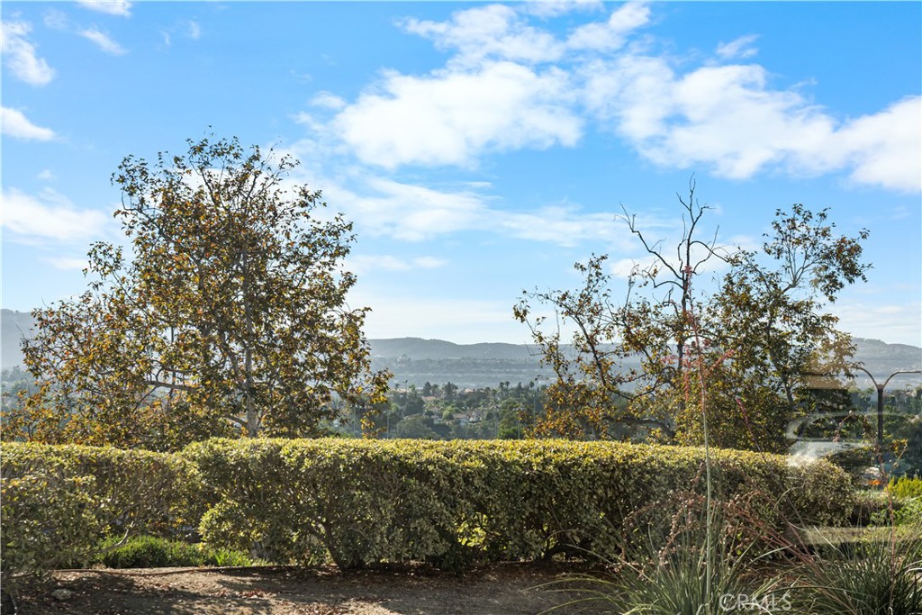 29095 Via Cerrito 41, Laguna Niguel CA 92677 - photo 7