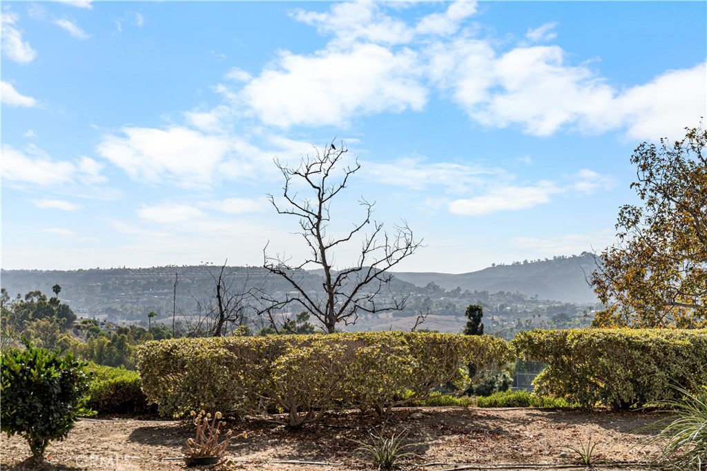29095 Via Cerrito 41, Laguna Niguel CA 92677 - photo 22