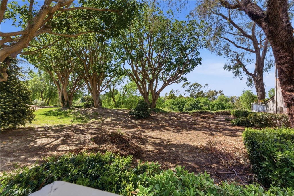 29121 Via Cerrito, Laguna Niguel CA 92677 - photo 29