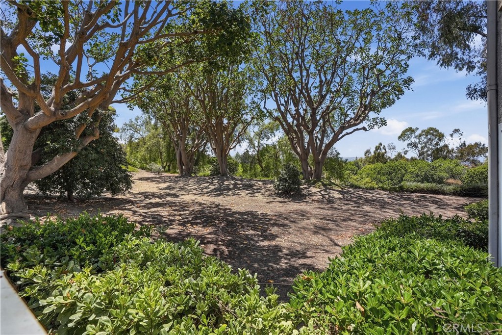 29121 Via Cerrito, Laguna Niguel CA 92677 - photo 34