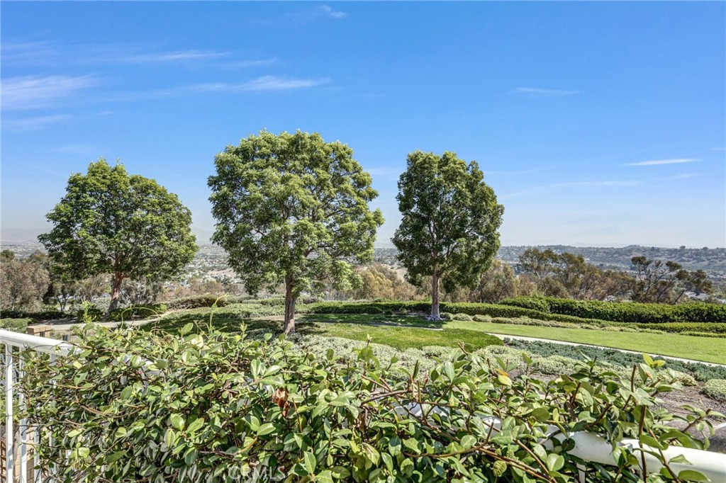 29332 Elba Drive, Laguna Niguel CA 92677 - photo 38