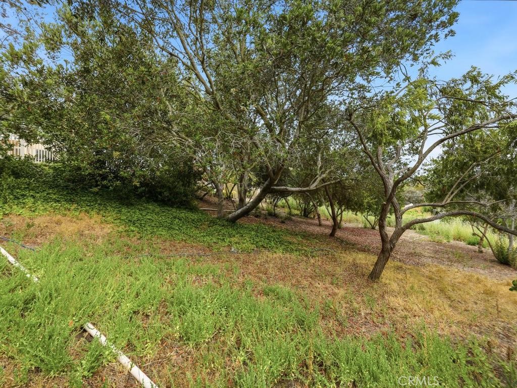 Wooded slope beyond the gated patio - 29352 Clipper Way, Laguna Niguel CA 92677 - photo 34