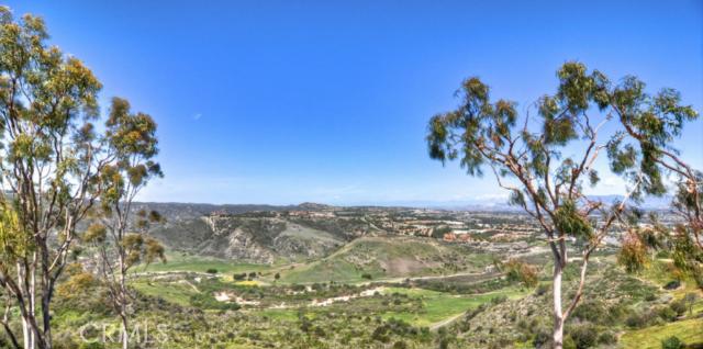 29356 Port Royal Way, Laguna Niguel CA 92677 - photo 1