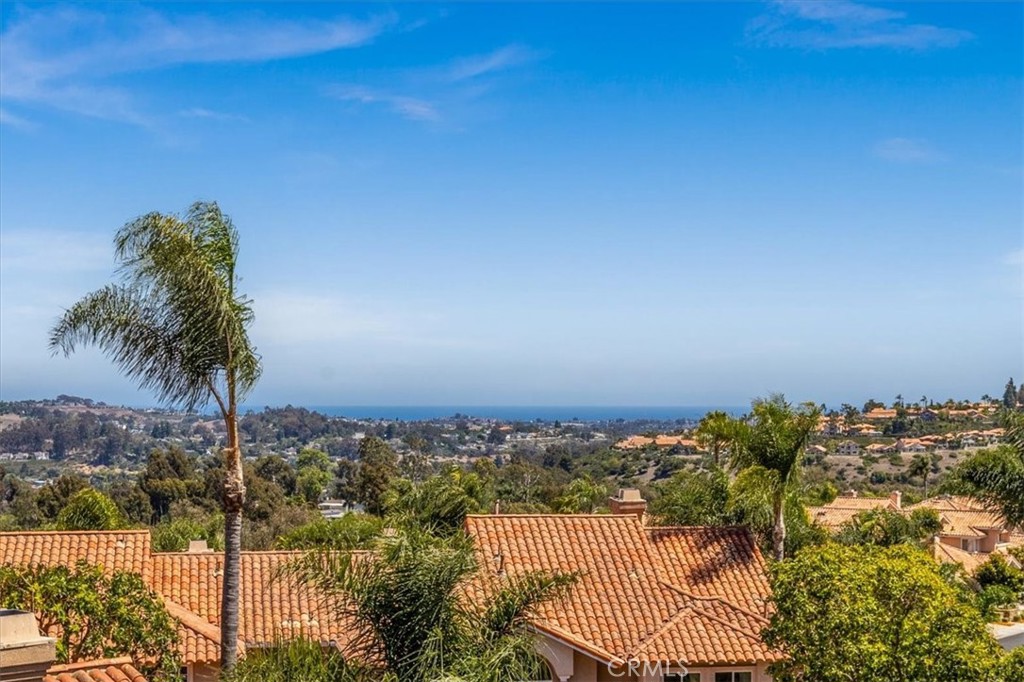 29466 Christiana Way, Laguna Niguel CA 92677 - photo 2