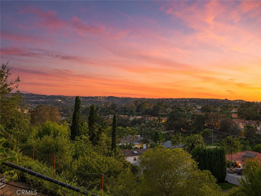 29481 Via Valverde, Laguna Niguel CA 92677 - photo 36