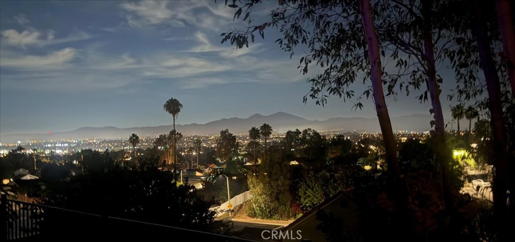 Sparkling City Lights Views and Saddleback Mountains - 29642 Colebrook Drive, Laguna Niguel CA 92677 - photo 6
