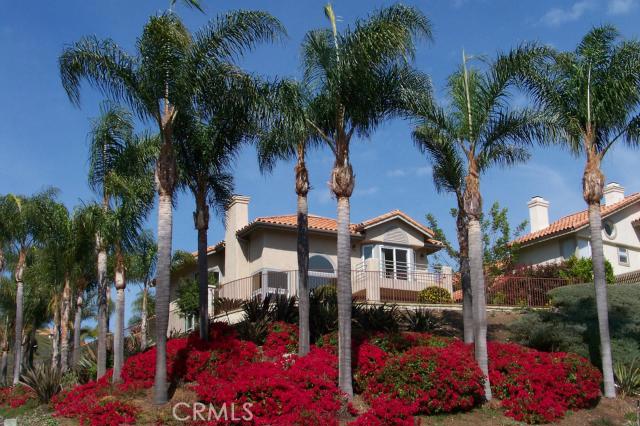 Graced with stunning palm trees and lush landscaping, this two-story home is privately situated on a 7,841 square foot c - 29792 Teracina, Laguna Niguel CA 92677 - photo 1