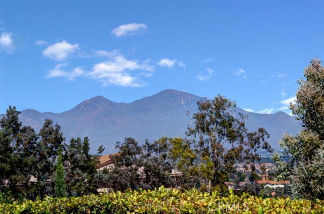Saddleback Mountain view from 29816 White Otter Lane - 29816 White Otter Lane, Laguna Niguel CA 92677 - photo 1