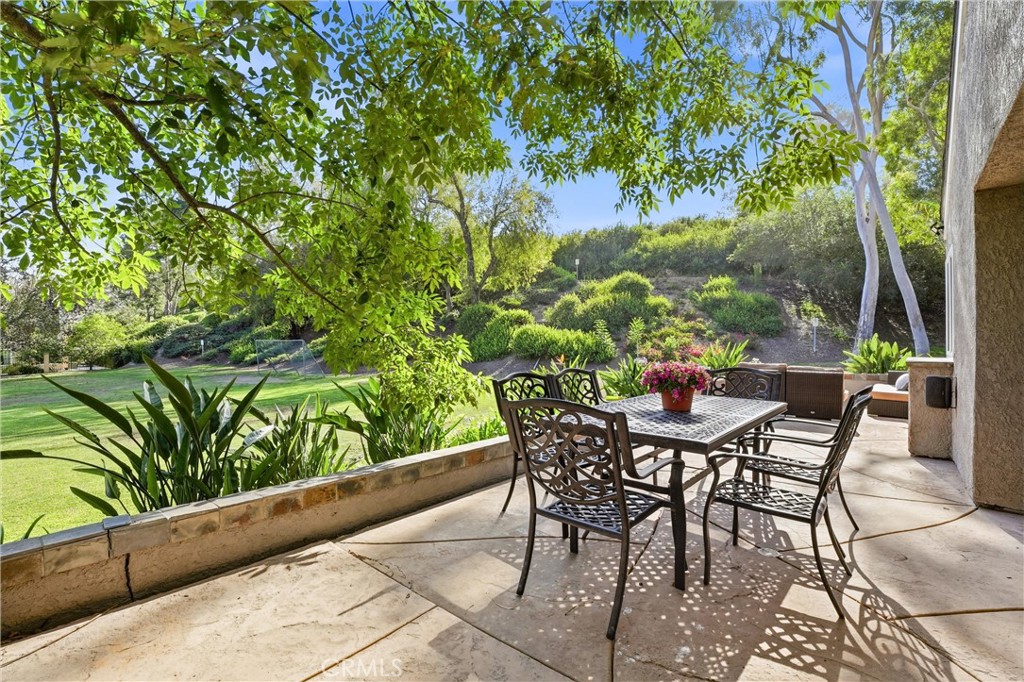 29881 White Otter, Laguna Niguel CA 92677 - photo 23
