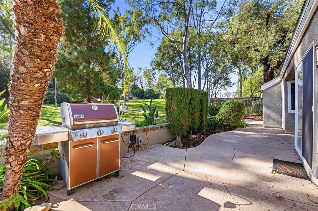 29881 White Otter, Laguna Niguel CA 92677 - photo 26