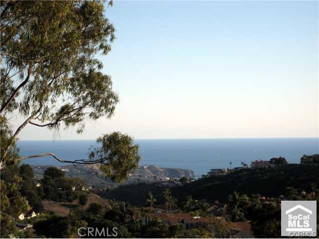 30 Antibes, Laguna Niguel CA 92677 - photo 1