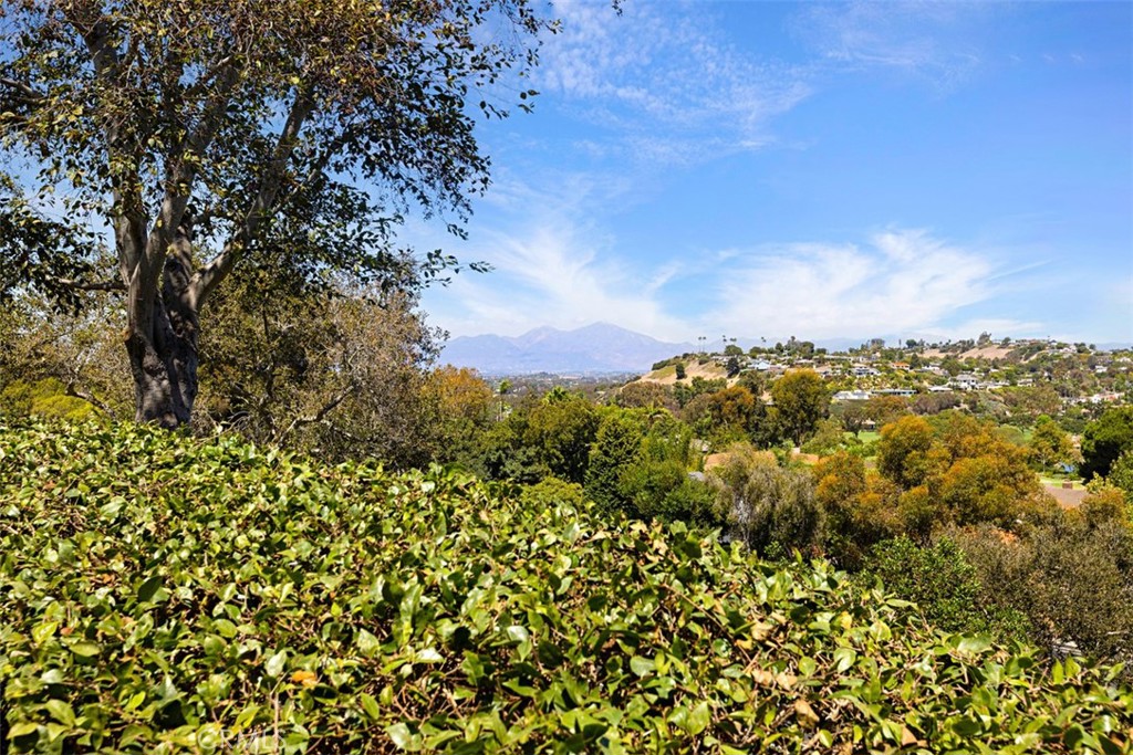 30902 Clubhouse, Laguna Niguel CA 92677 - photo 45