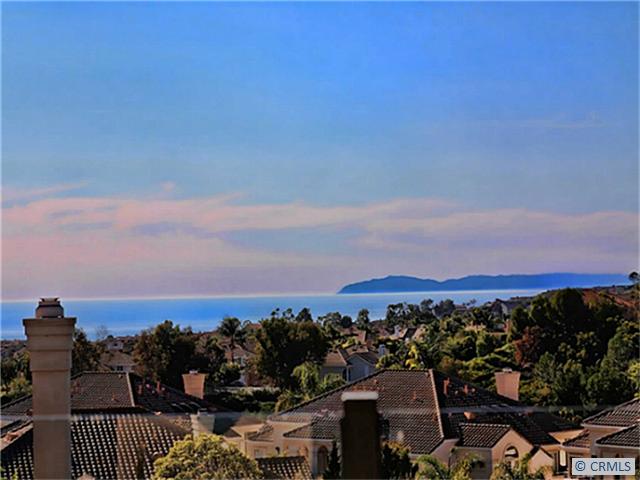 Enjoy this incredible view from your own patio and yard. - 31 SHOREBREAKER Drive, Laguna Niguel CA 92677 - photo 1