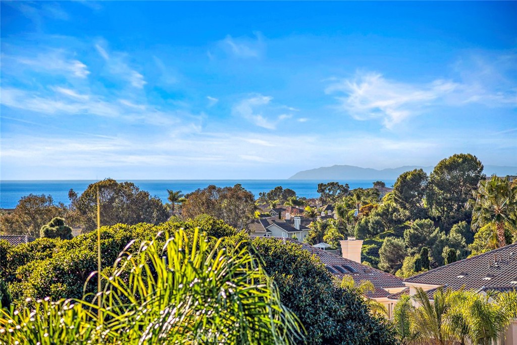 31 Shorebreaker, Laguna Niguel CA 92677 - photo 1