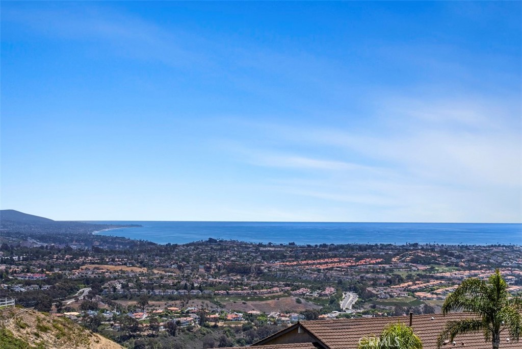 31202 Palma Drive, Laguna Niguel CA 92677 - photo 34
