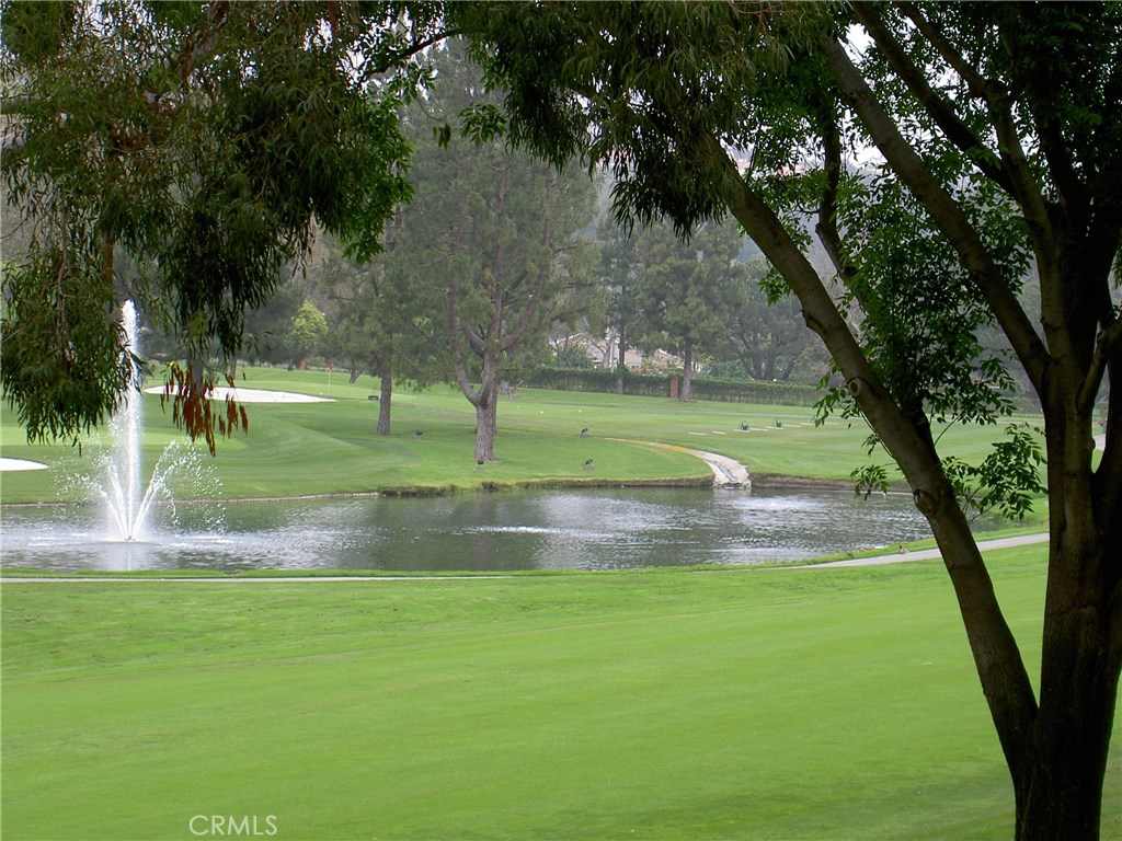 31223 E Nine Drive 2B, Laguna Niguel CA 92677 - photo 1
