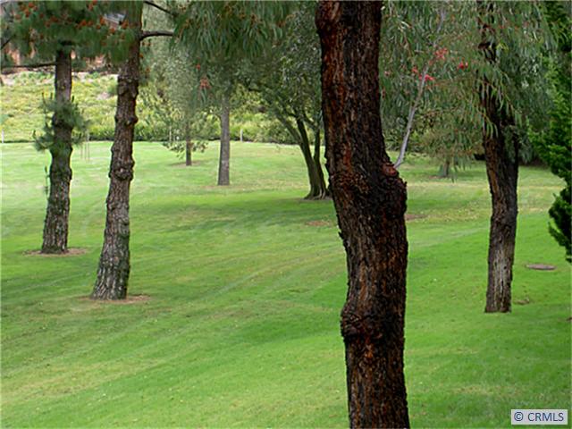 31223 E NINE Drive 2B, Laguna Niguel CA 92677 - photo 1