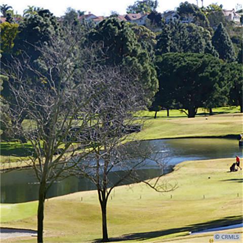 EL NIGUEL C.C. GOLF COURSE FROM PATIO - 31232 W NINE Drive, Laguna Niguel CA 92677 - photo 1