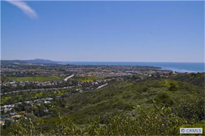 31246 FLYING CLOUD, Laguna Niguel CA 92677 - photo 1
