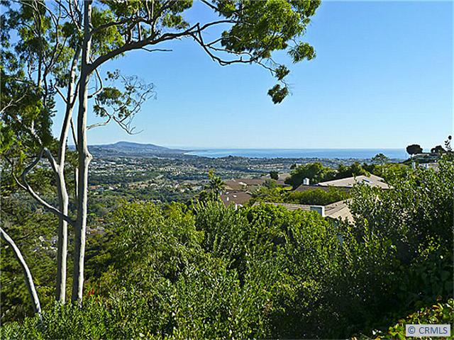 31322 FLYING CLOUD Drive, Laguna Niguel CA 92677 - photo 1