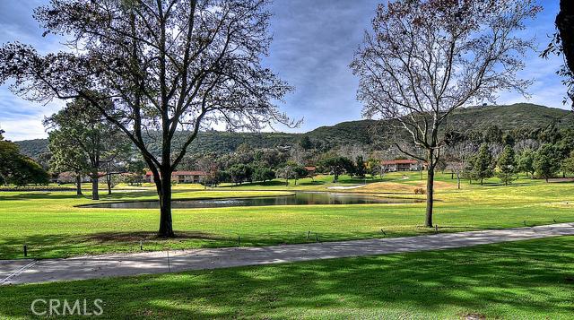 31377 East Nine Drive, Laguna Niguel CA 92677 - photo 1