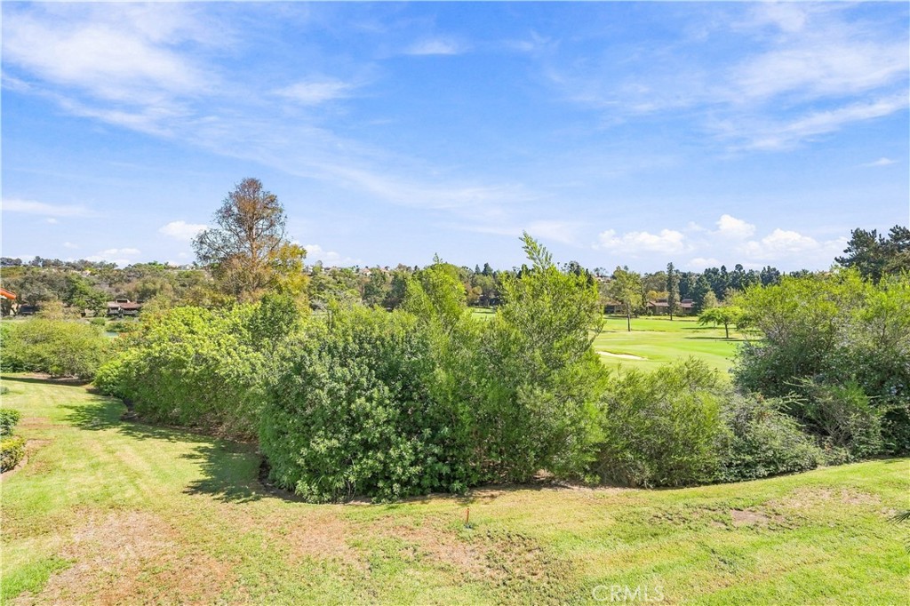 31428 W Nine 34, Laguna Niguel CA 92677 - photo 8