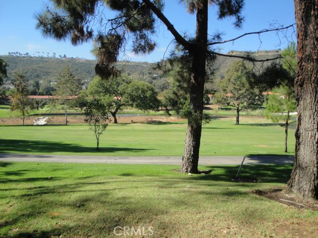 31431 E Nine Drive, Laguna Niguel CA 92677 - photo 1
