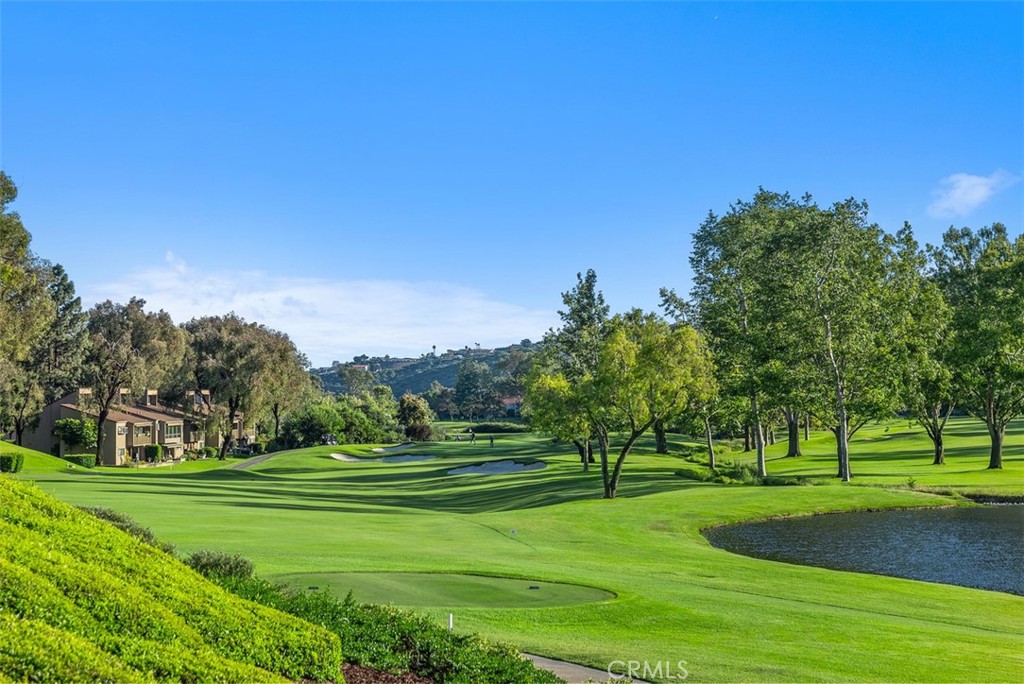 Lush green views from every direction! - 31461 E East Nine Dr, Laguna Niguel CA 92677 - photo 1