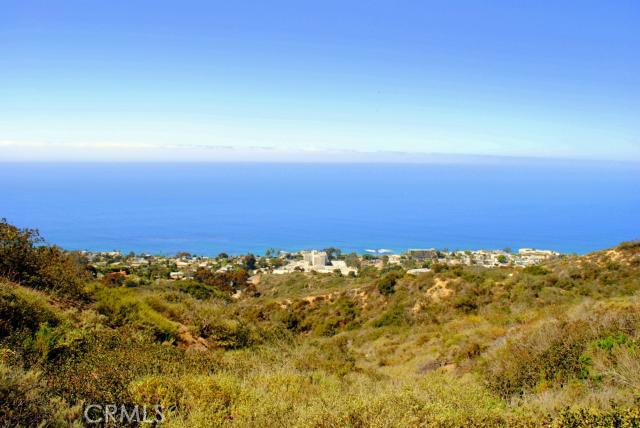 31545 Sea Shadows, Laguna Niguel CA 92677 - photo 1