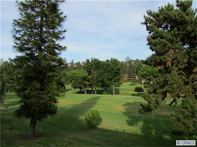 31614 W NINE Drive RB105, Laguna Niguel CA 92677 - photo 1