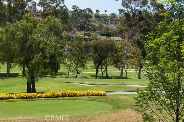 31676 W Nine Drive, Laguna Niguel CA 92677 - photo 1