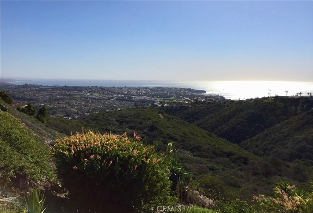31711 Crystal Sands Drive, Laguna Niguel CA 92677 - photo 1