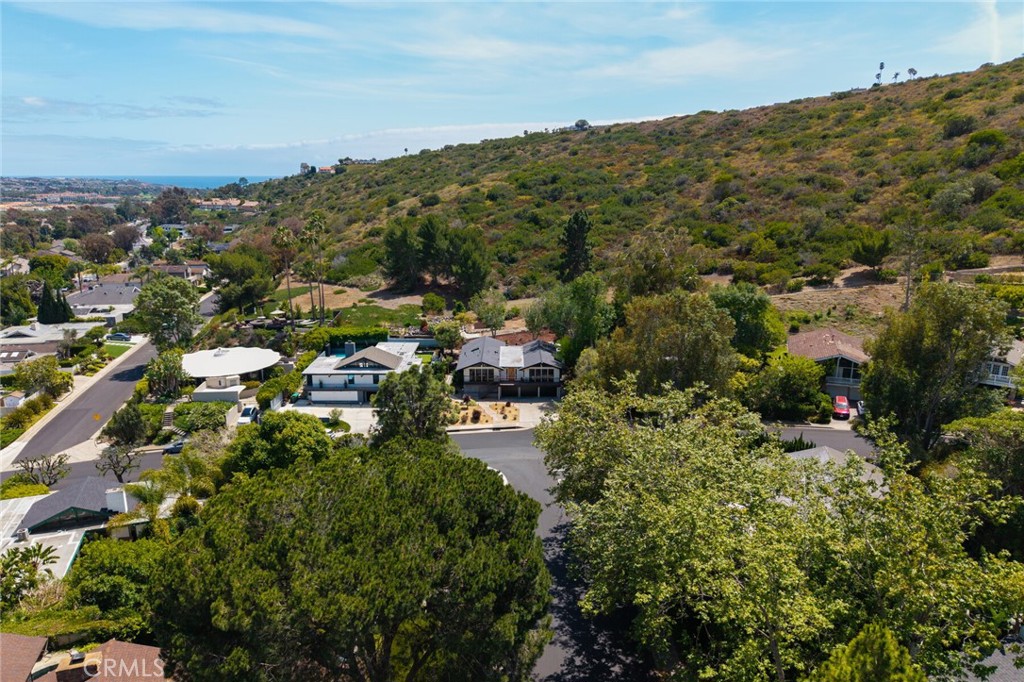 31891 National Park Drive, Laguna Niguel CA 92677 - photo 44