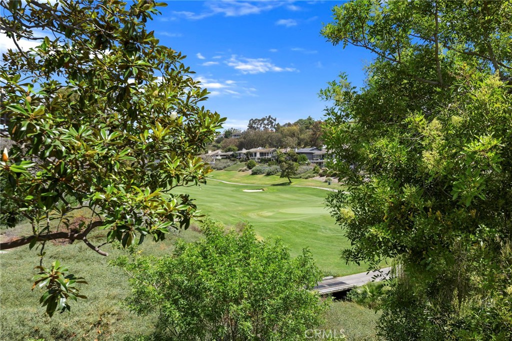 32136 Links Pointe, Laguna Niguel CA 92677 - photo 33