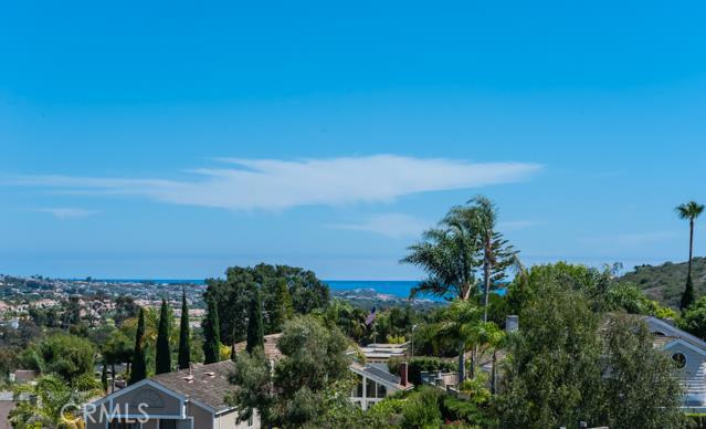 39 Laguna Woods Drive, Laguna Niguel CA 92677 - photo 1