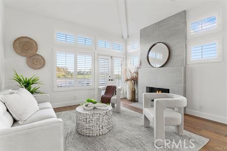 Living Room w/Fireplace - 59 Costa Brava, Laguna Niguel CA 92677 - photo 15