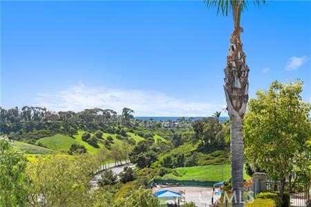 View - 59 Costa Brava, Laguna Niguel CA 92677 - photo 35