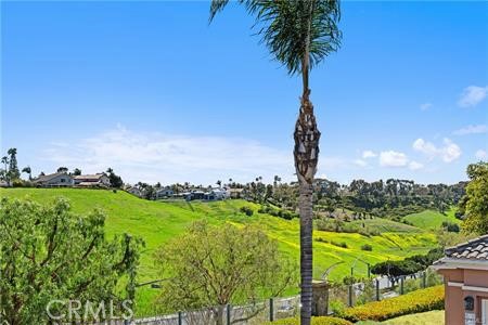 View - 59 Costa Brava, Laguna Niguel CA 92677 - photo 37